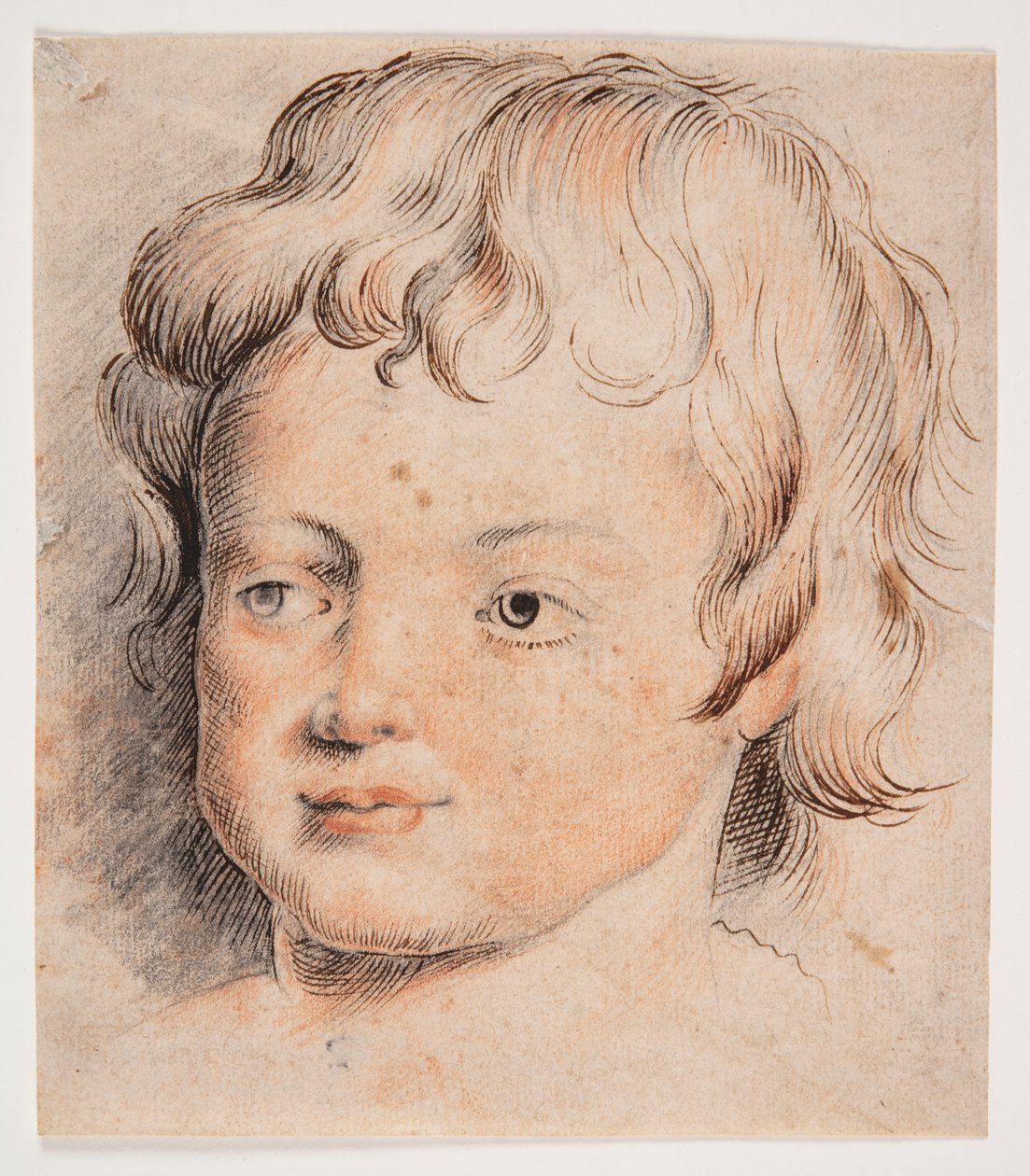 Dětská hlava od Peter Paul Rubens