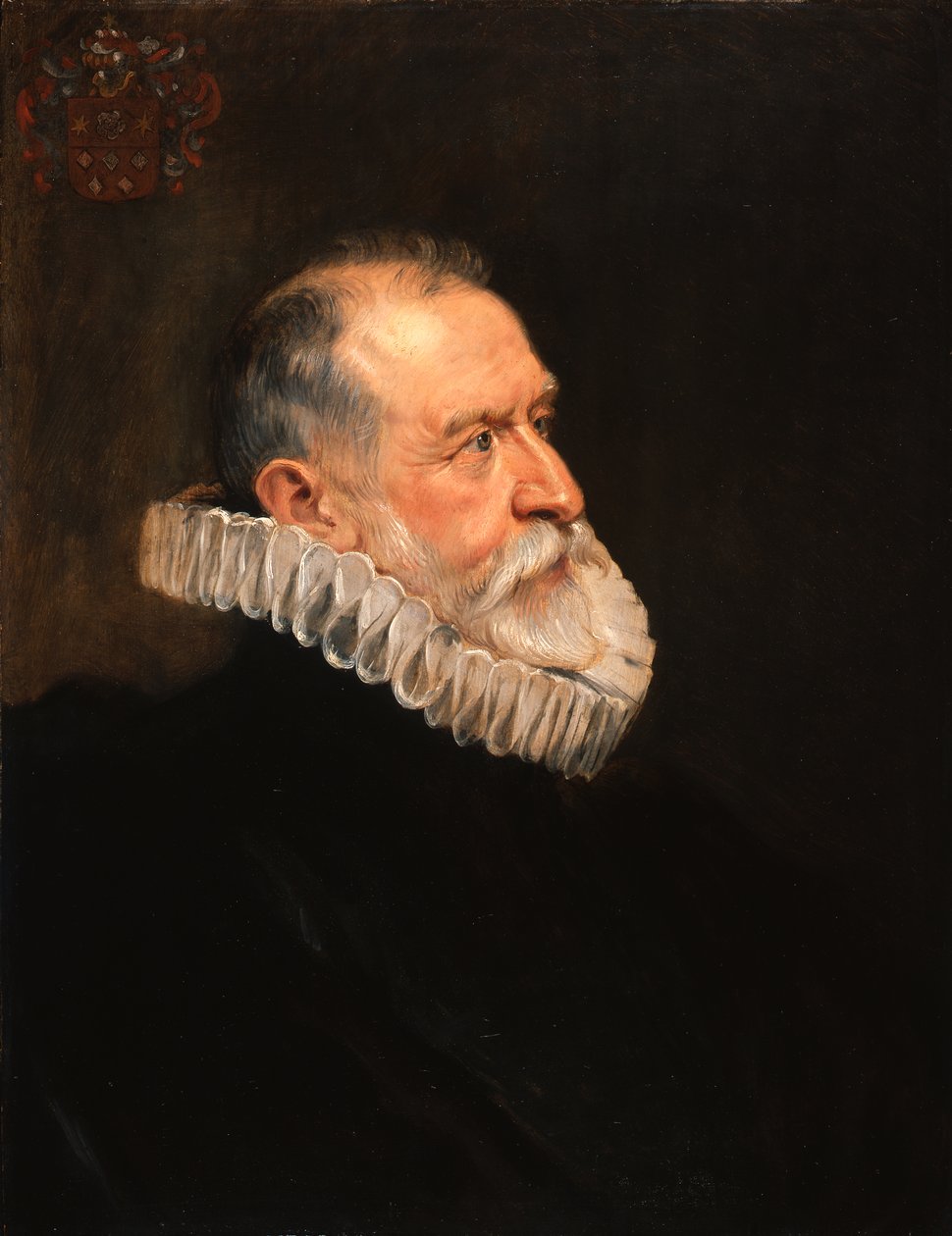 Portrét staršího muže od Peter Paul Rubens