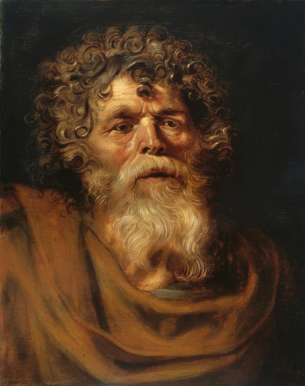 Portrét vousatého staříka od Peter Paul Rubens
