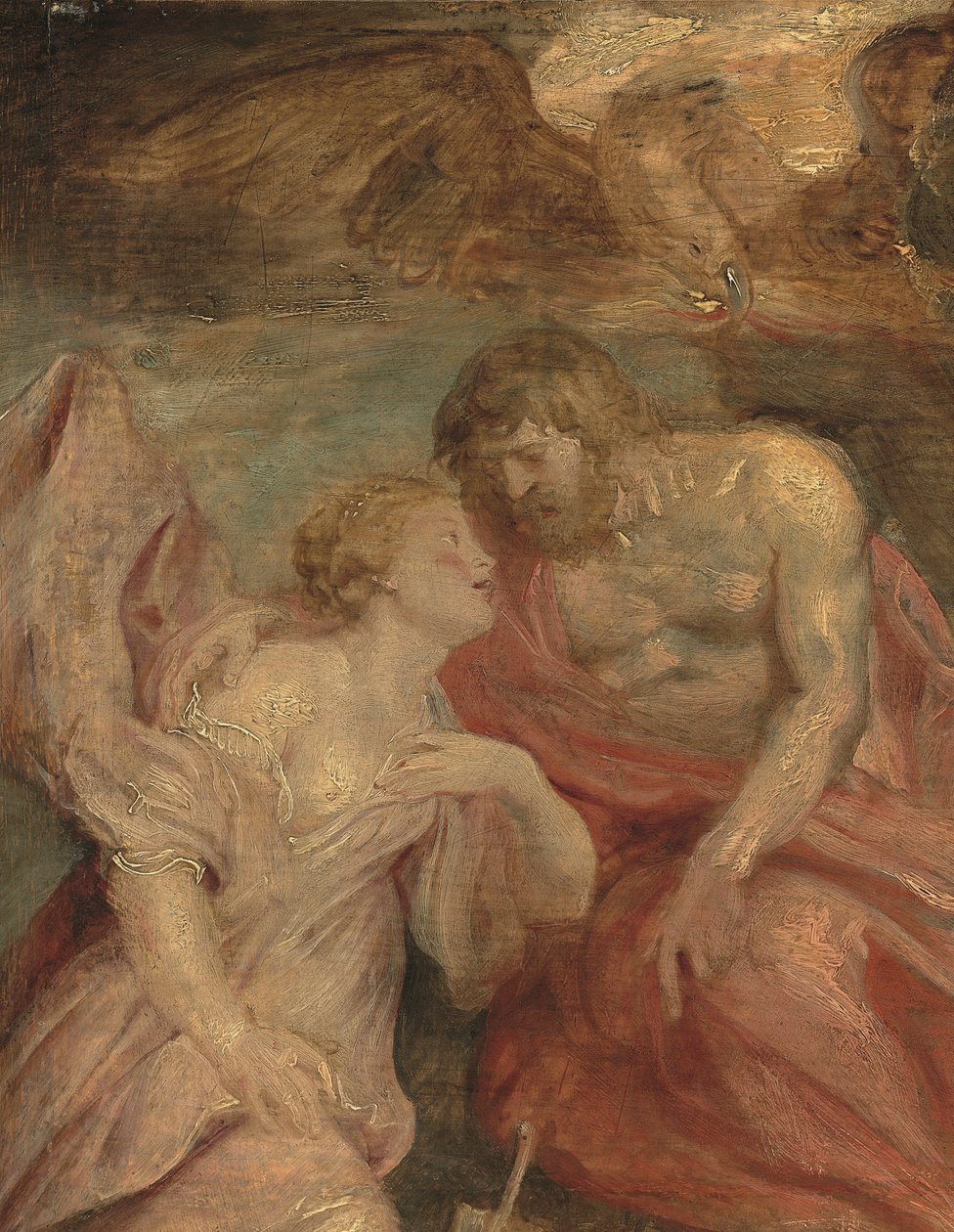 Detail Venuše prosící Jupiter (olej na dubovém panelu) od Peter Paul Rubens