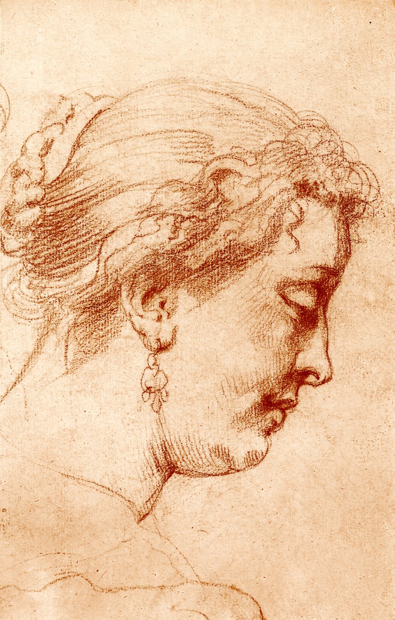 Hlava ženského profilu od Peter Paul Rubens