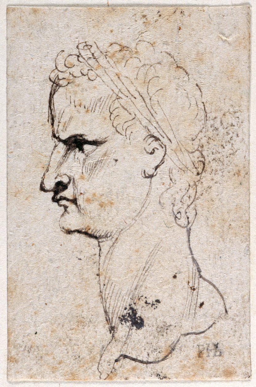 Gaius Caligula, z deseti kreseb osmi z prvních dvanácti Caesarů, po medailích Giovanniho da Cavina (pero a inkoust na papíře) od Peter Paul Rubens