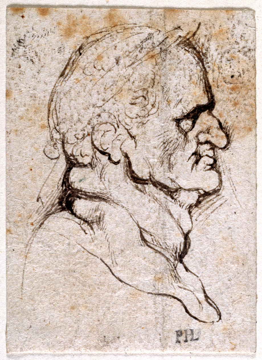 Galba, z deseti kreseb osmi z prvních dvanácti Caesarů, po medailích Giovanniho da Cavina (pero a inkoust na papíře) od Peter Paul Rubens