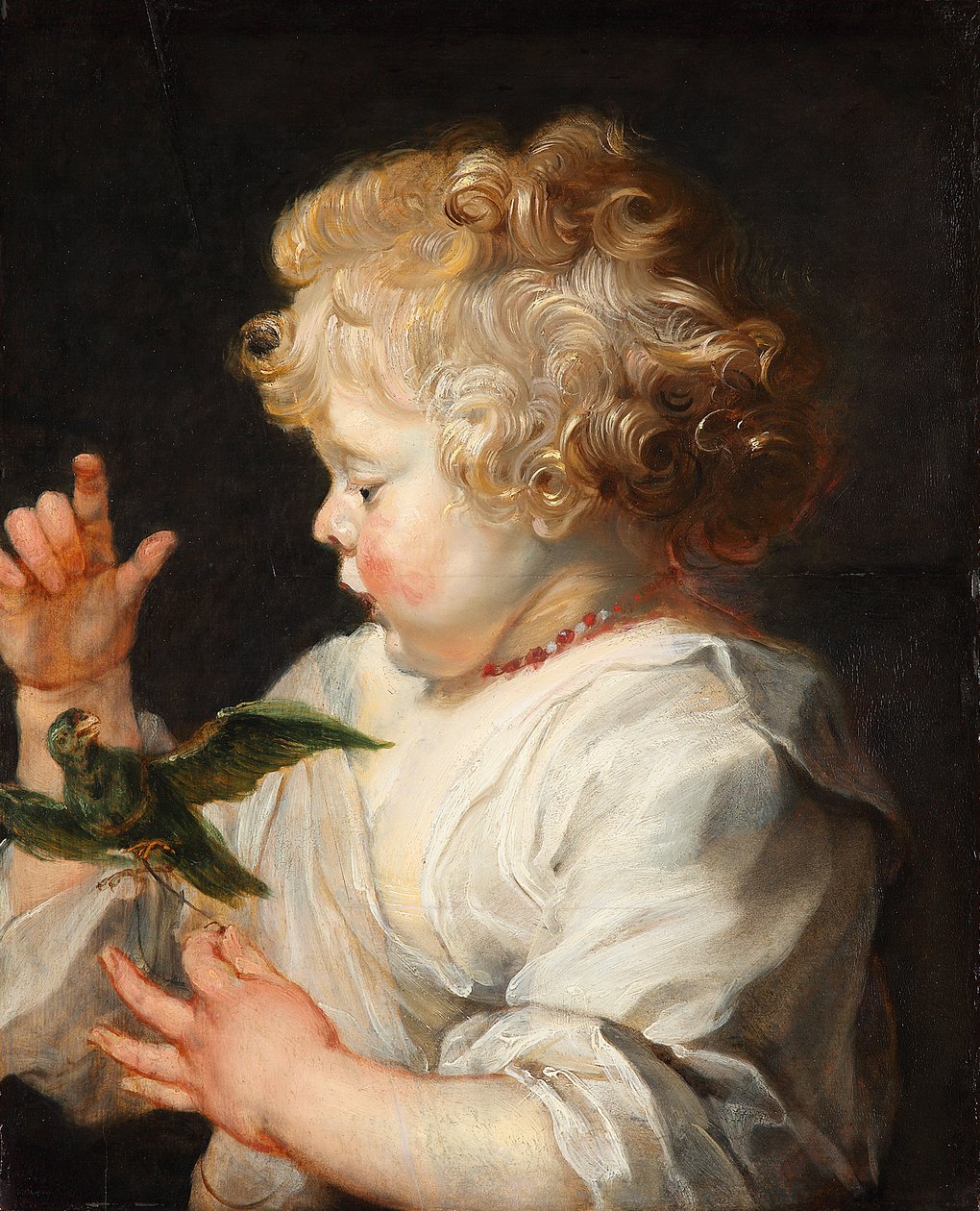 Německy: Portrét dítěte s ptákem Dítě s ptákem od Peter Paul Rubens