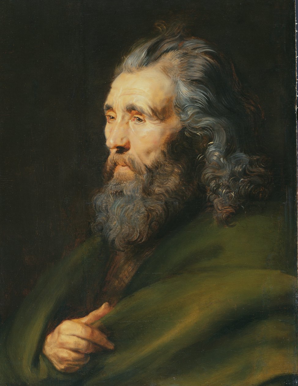 Head Study of a Bearded Man, c.1617 od Peter Paul Rubens