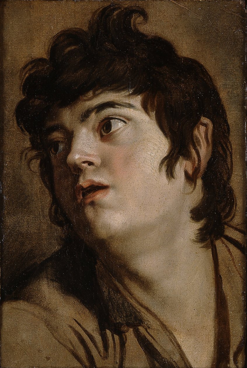 Hlava mladého muže od Peter Paul Rubens