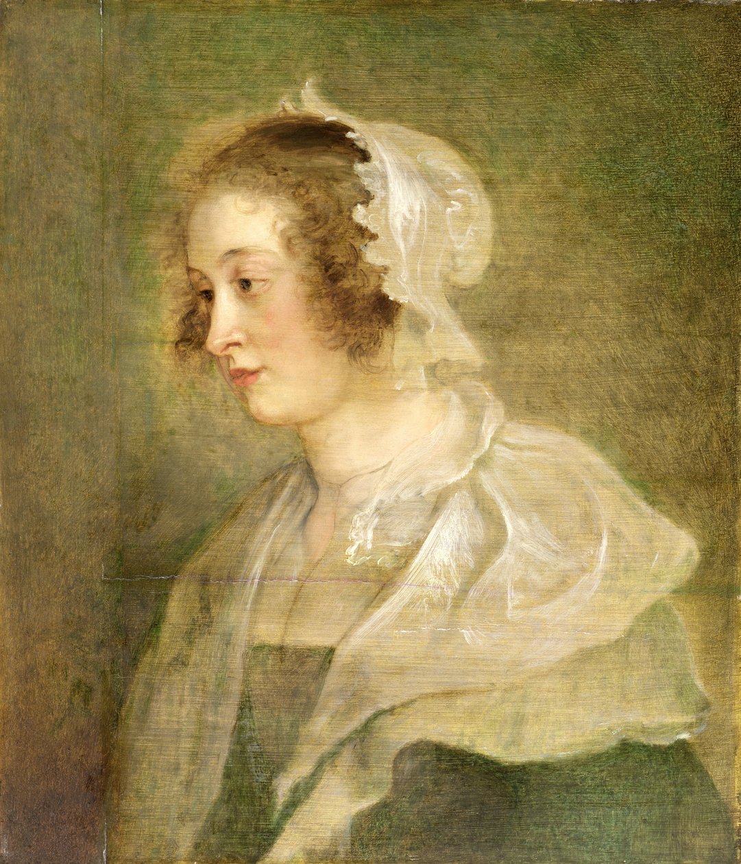 Hlava mladé ženy (panel) od Peter Paul Rubens
