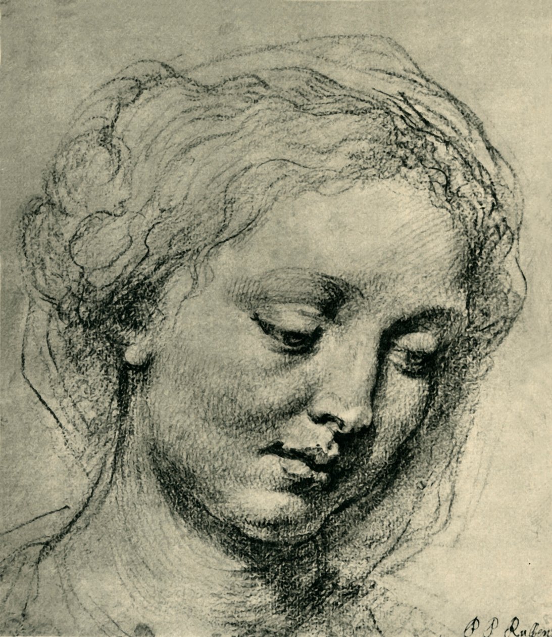 Hlava ženy, c1630, 1943. od Peter Paul Rubens