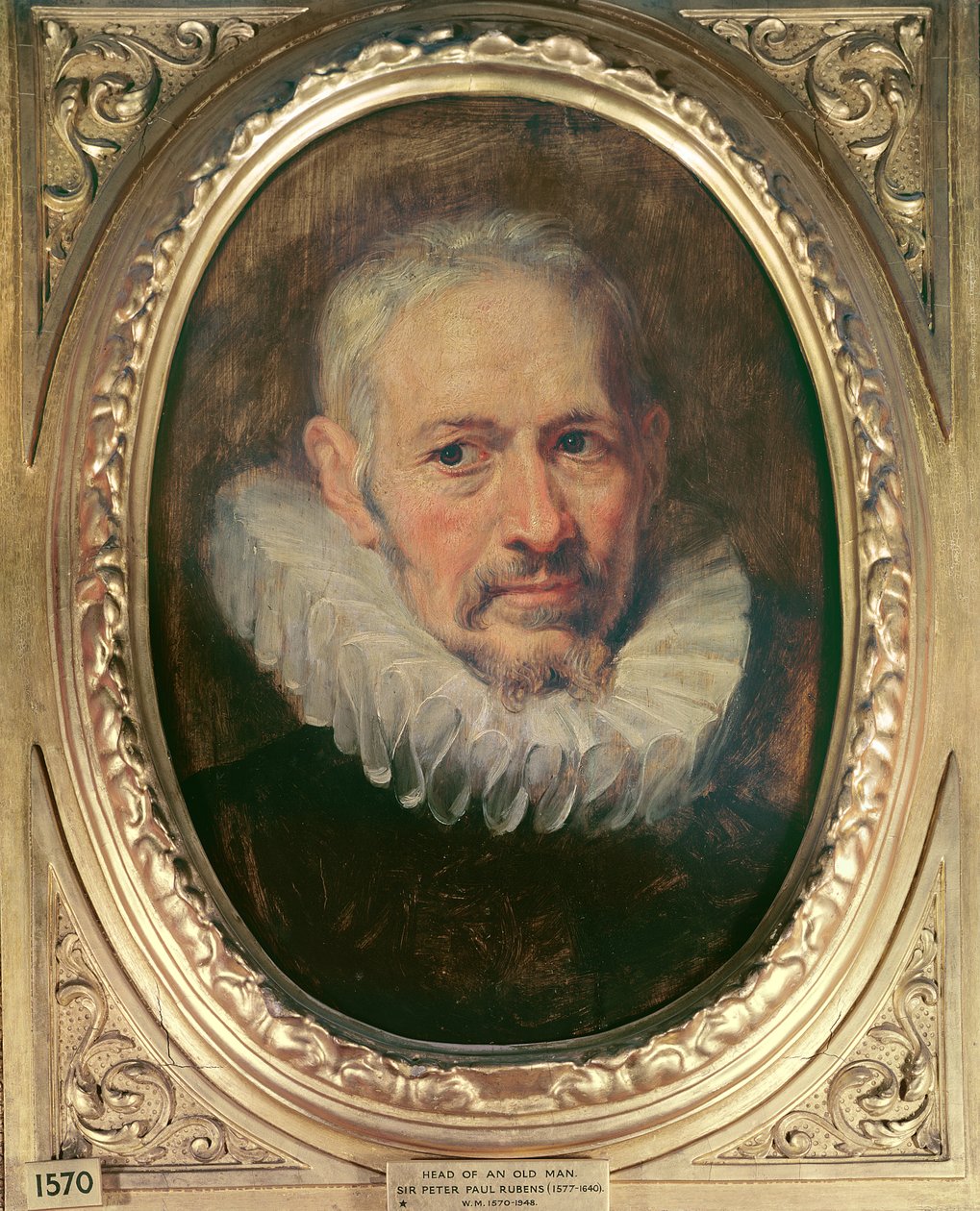 Hlava starého muže (olej na kanafasu) od Peter Paul Rubens