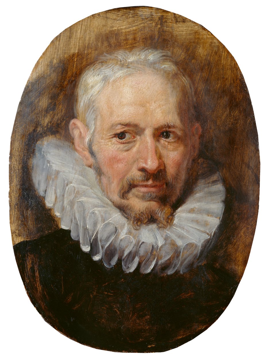 Hlava starého muže (olej na desce) od Peter Paul Rubens