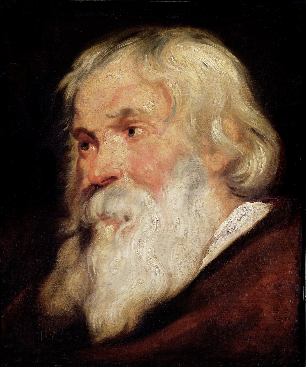Hlava starého muže od Peter Paul Rubens
