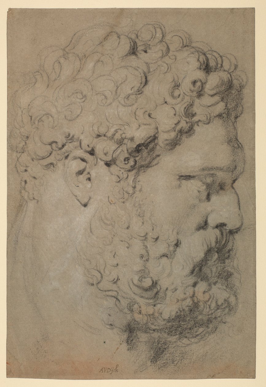 Vedoucí Farnese Hercules od Peter Paul Rubens