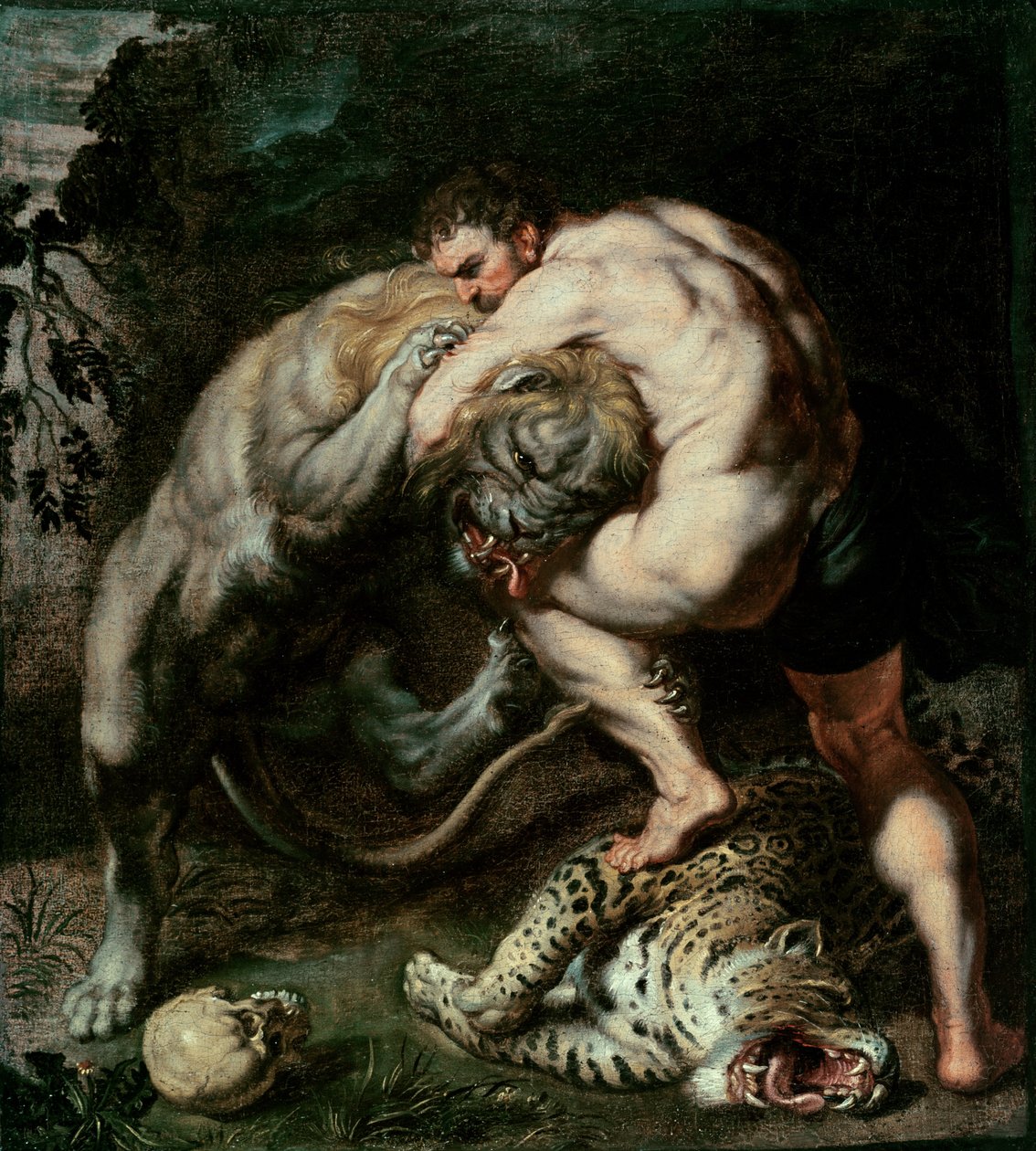 Herkules bojující s nemejským lvem od Peter Paul Rubens