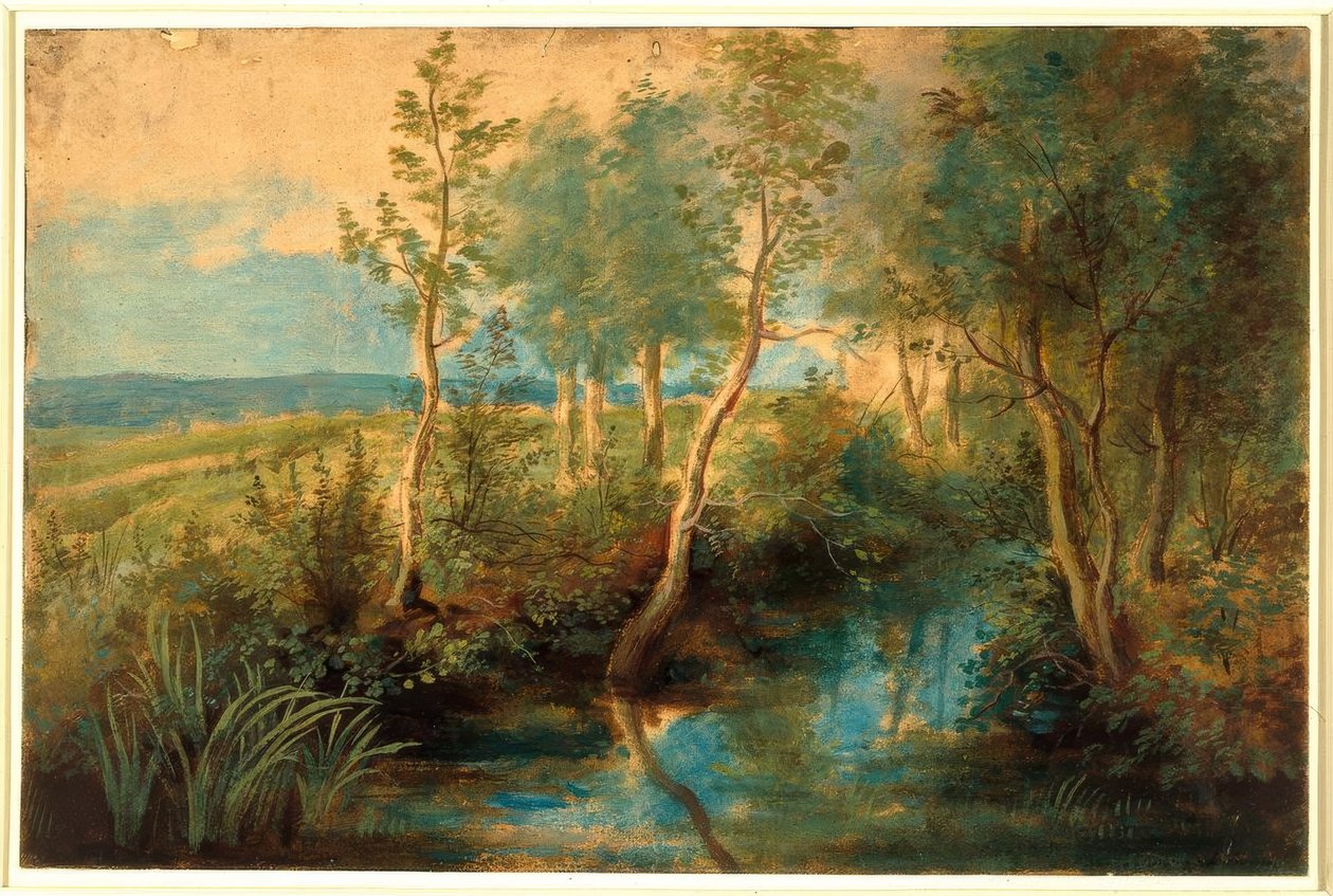 Krajina s potokem převislá stromy od Peter Paul Rubens
