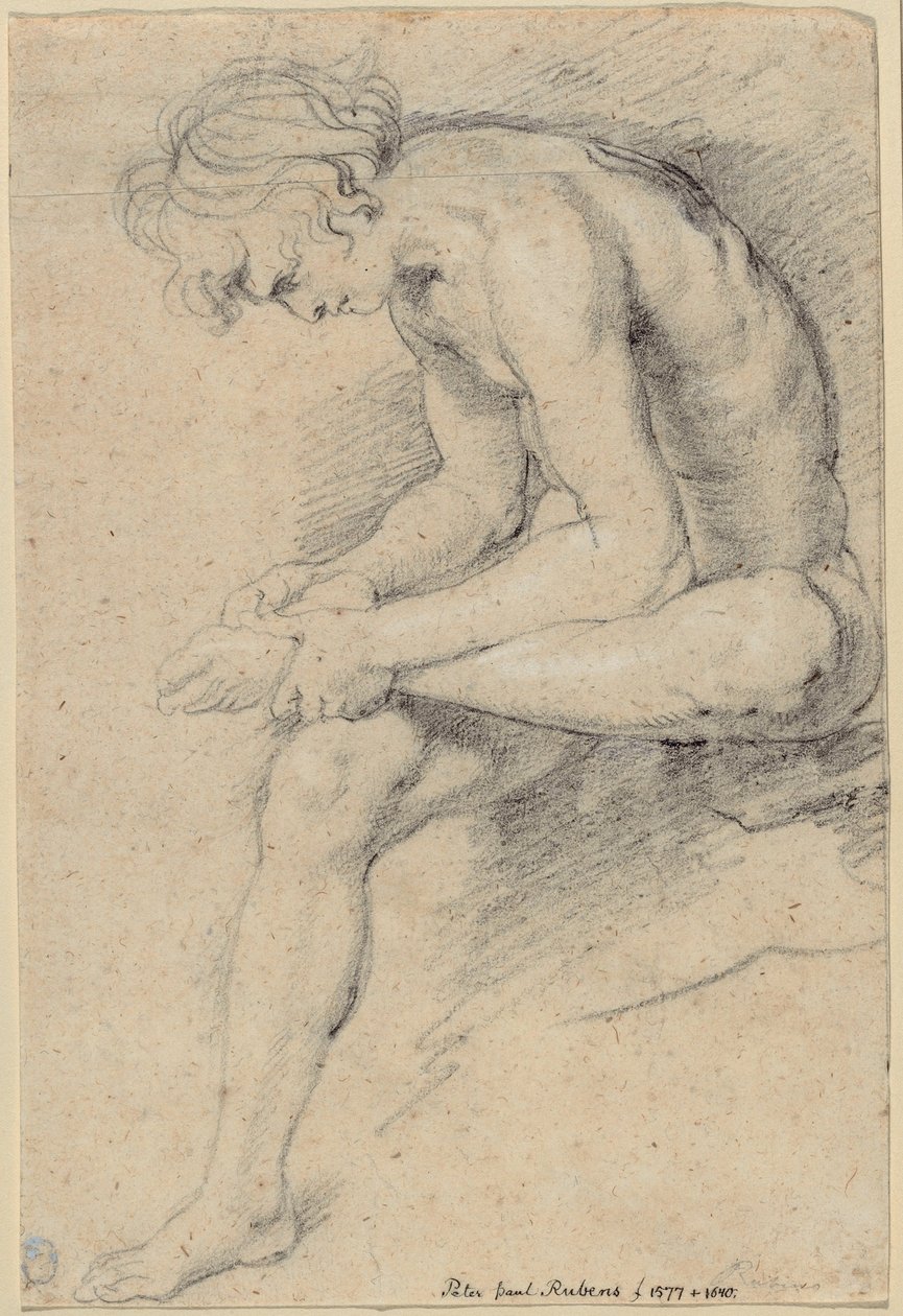 Nahá mládež v póze Spinaria od Peter Paul Rubens