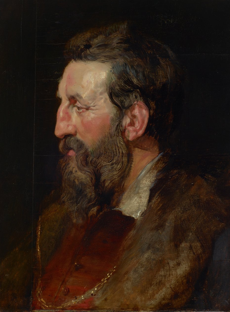 Portrét muže, cca 1615 (olej na panelu) od Peter Paul Rubens