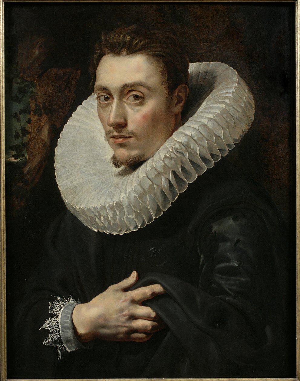 Portrét mladého muže od Peter Paul Rubens