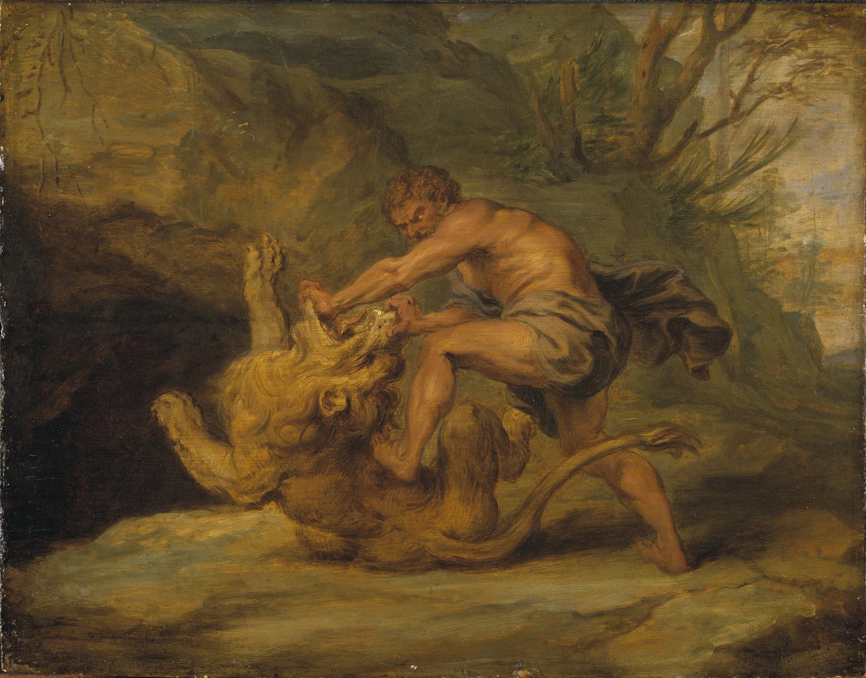 Samson a lev. Studie od Peter Paul Rubens