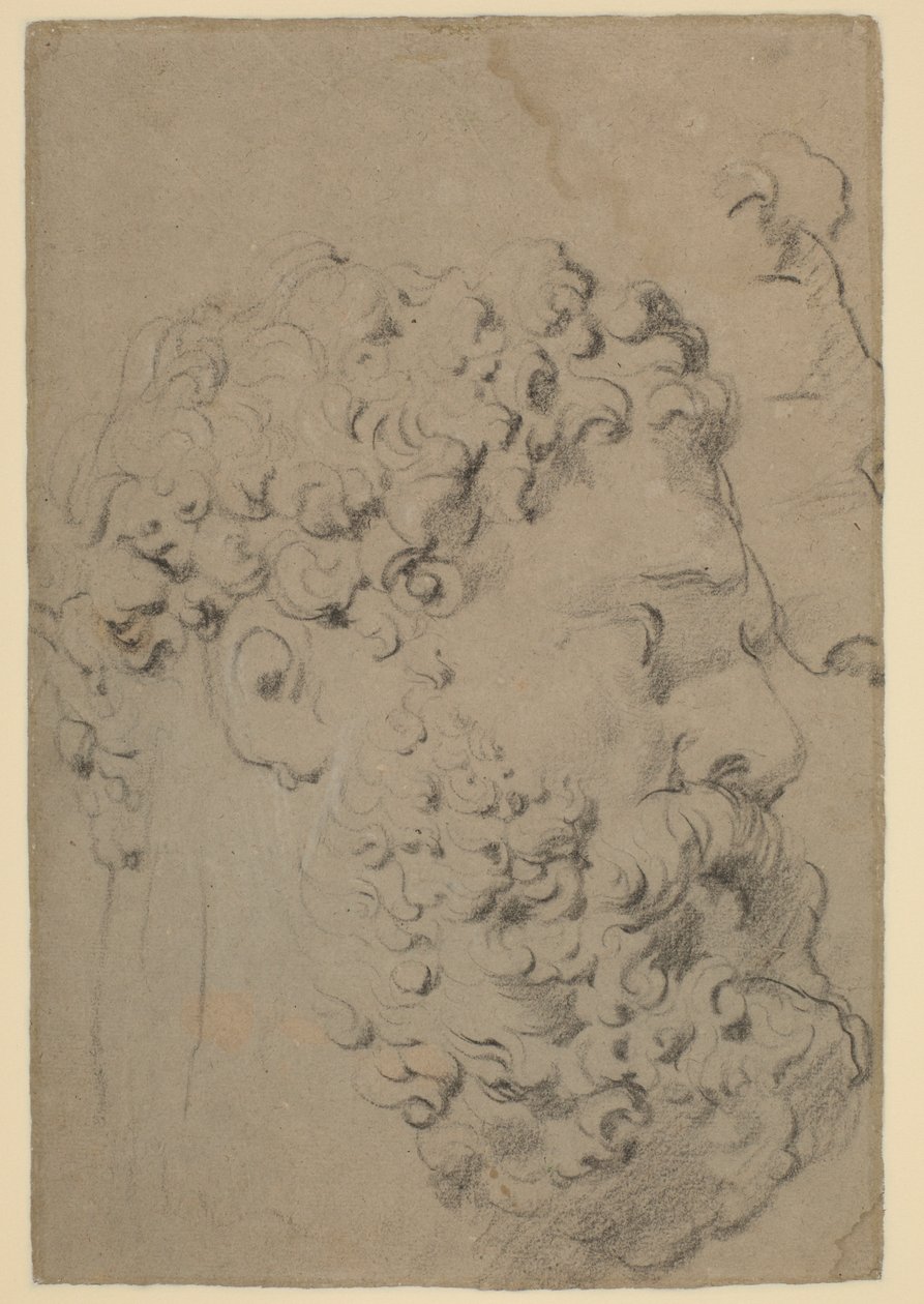 Studie hlavy a profilu Farnese Hercules viděné z nižšího pohledu od Peter Paul Rubens