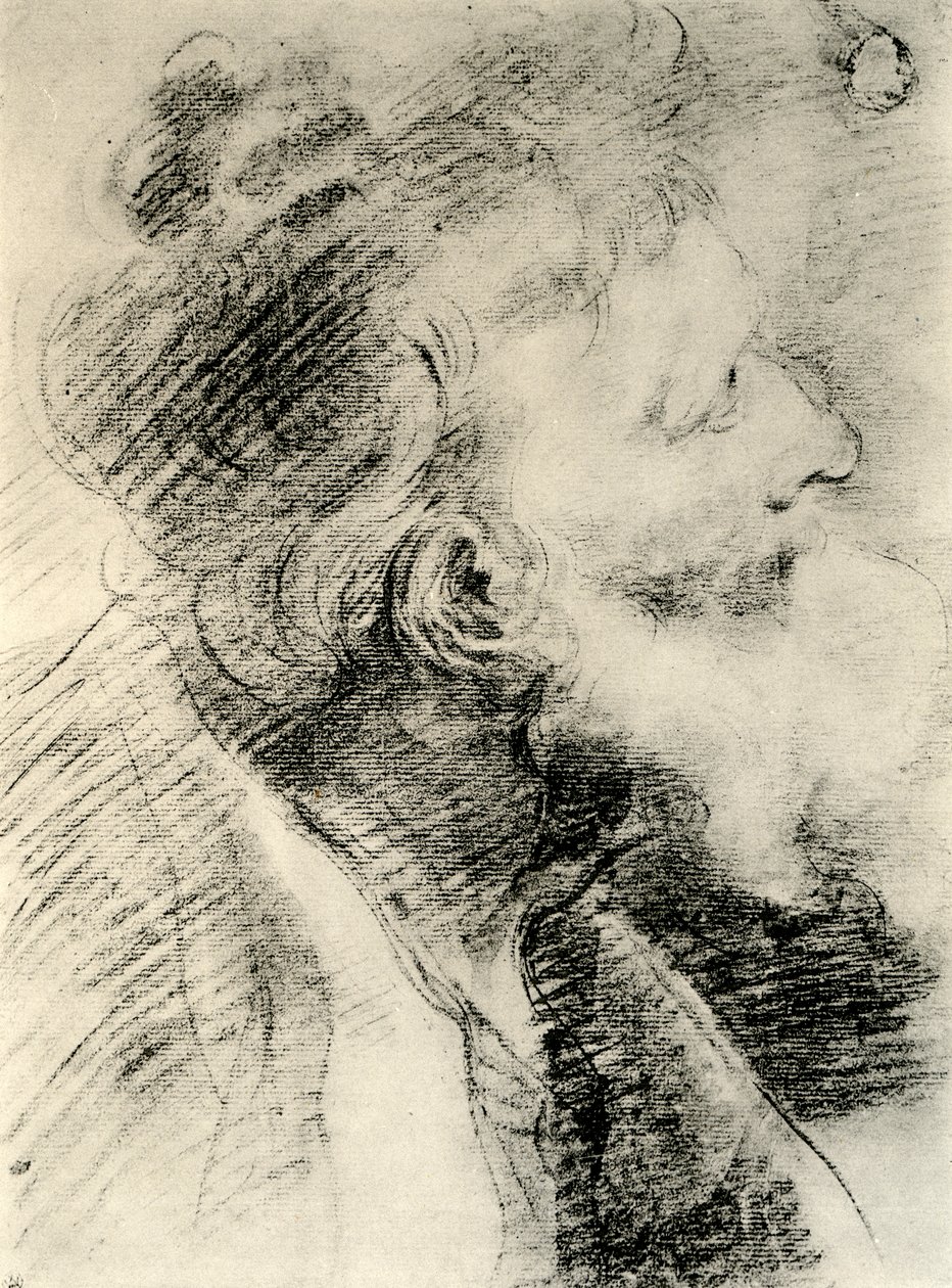 Studie pro hlavu starého muže, 1913. od Peter Paul Rubens