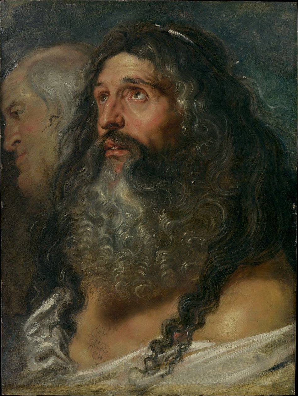 Studie dvou hlav od Peter Paul Rubens