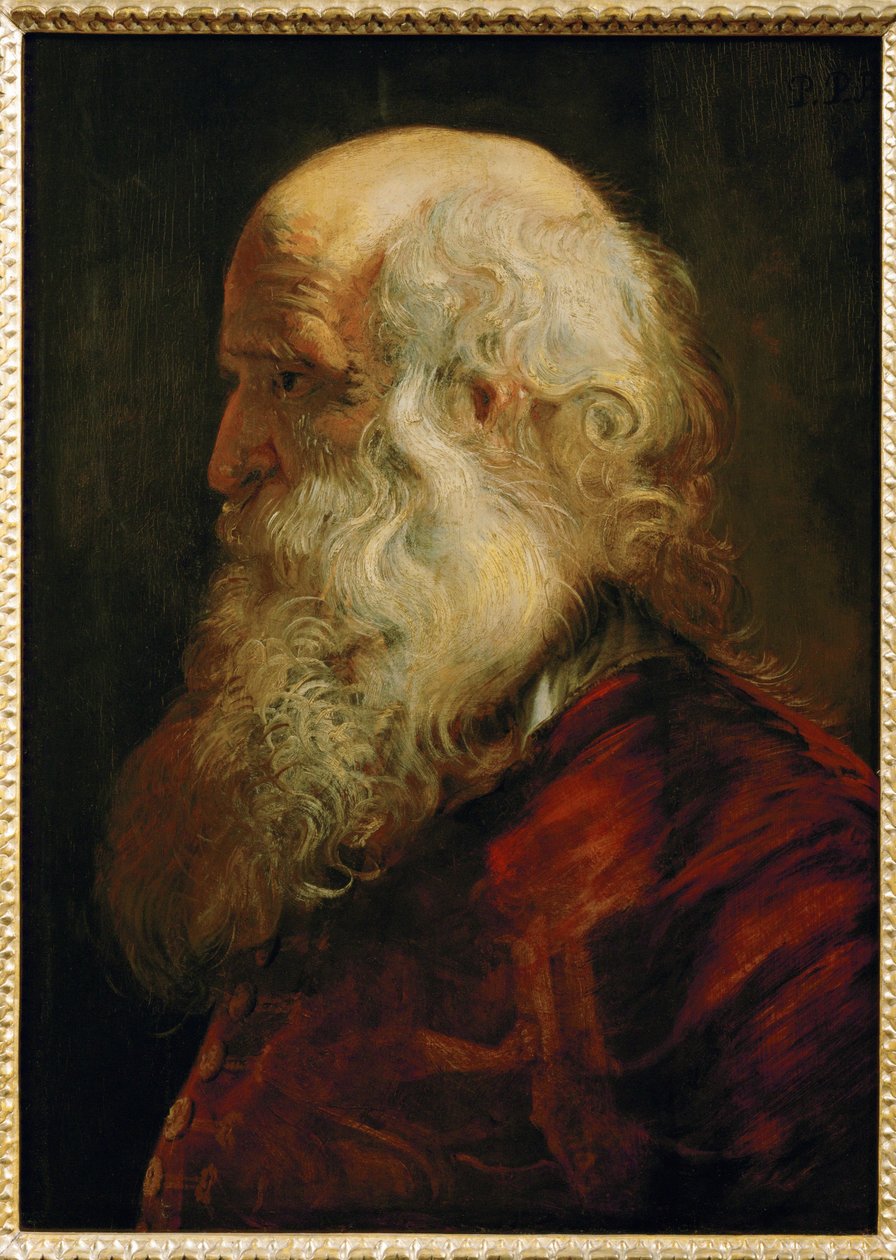 Studie starého muže, asi 1610 (malba na dubovém dřevě) od Peter Paul Rubens