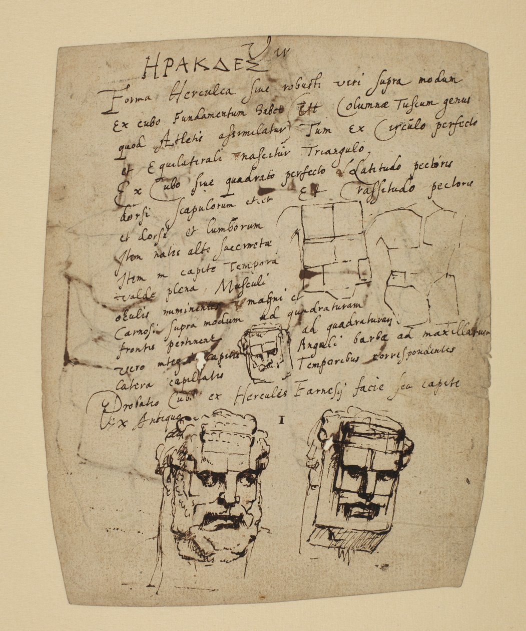 Studie Farnese Herkula od Peter Paul Rubens