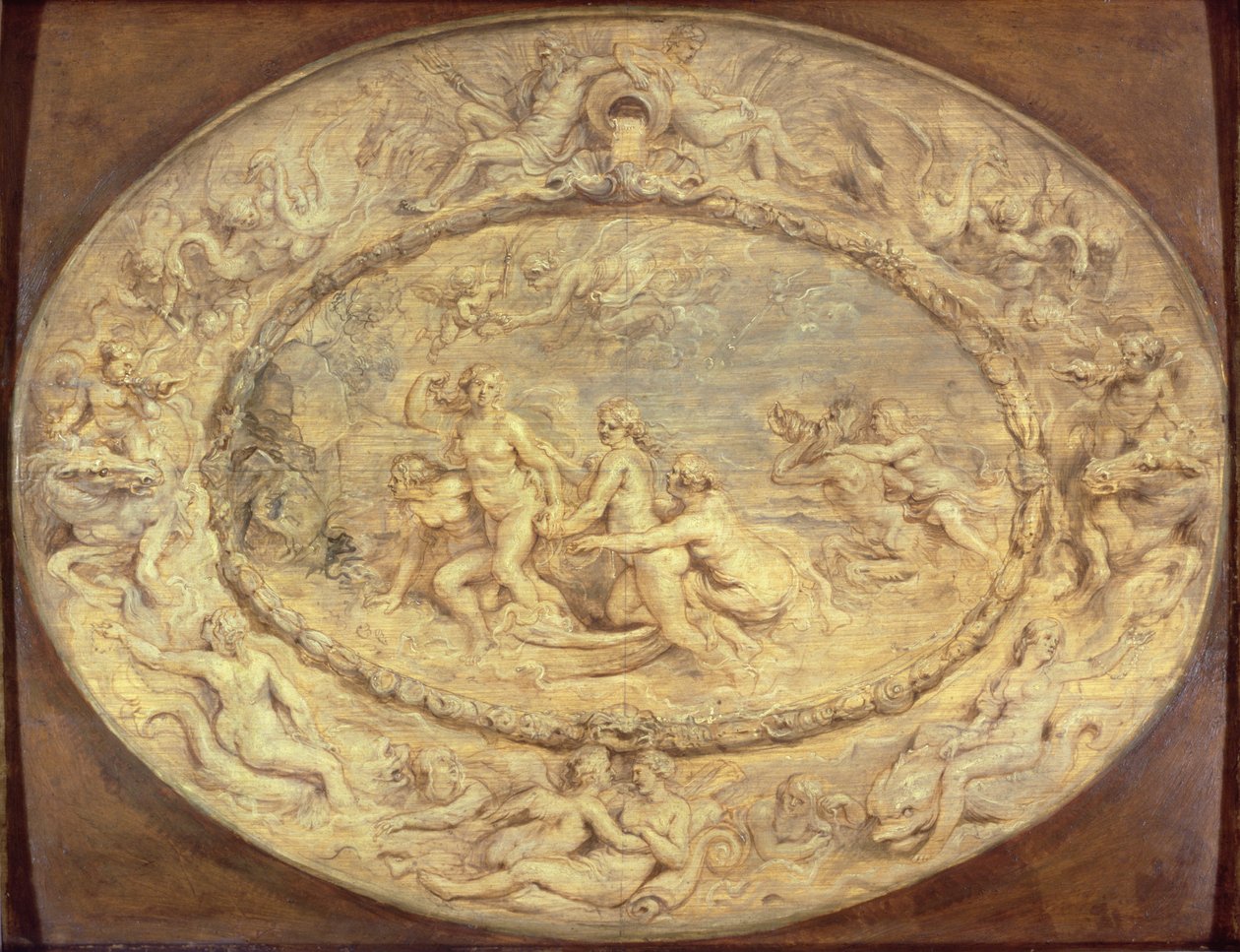 Zrození Venuše, cca 1632-33 (černá křída a olej na panelu) od Peter Paul Rubens