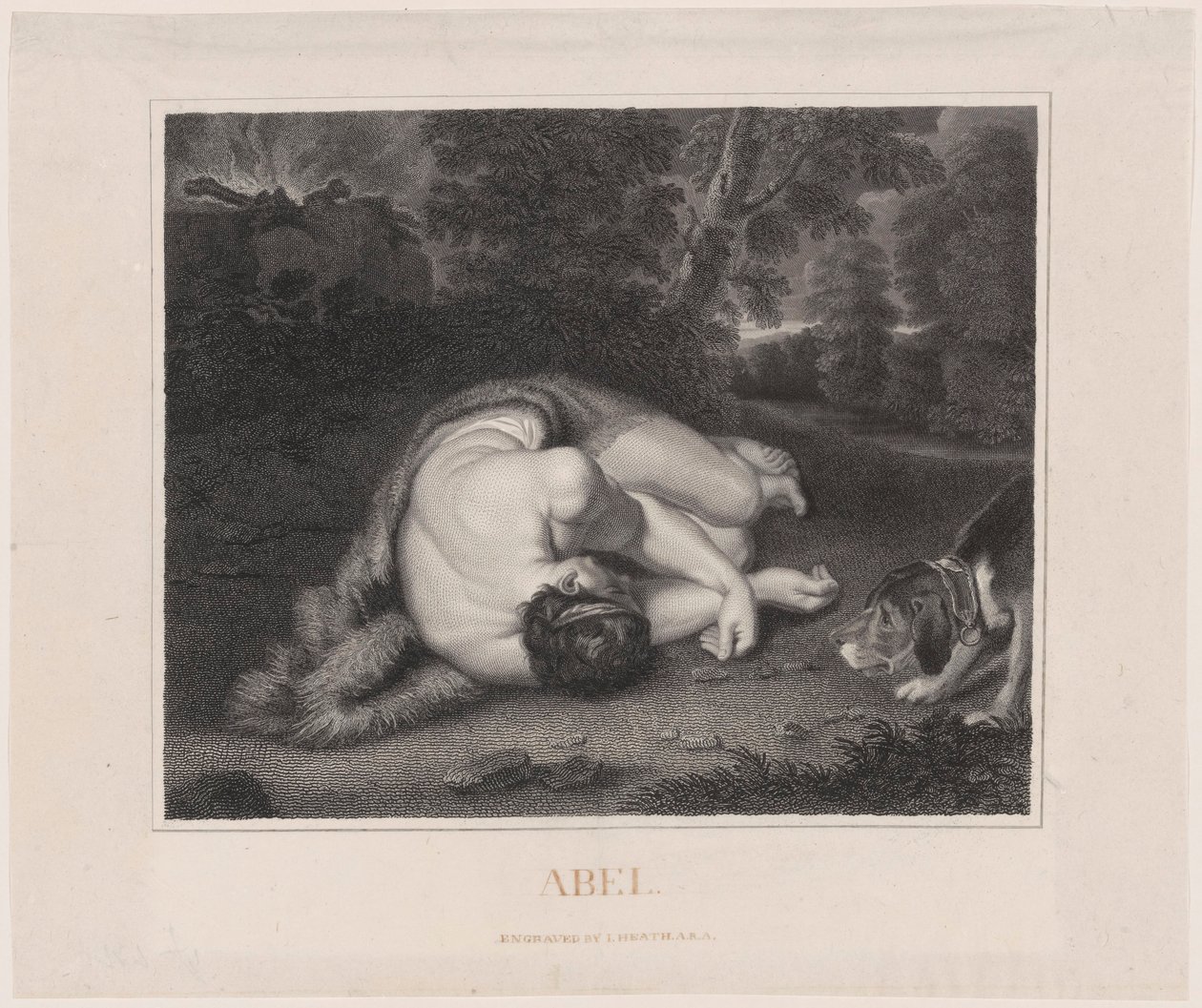 Smrt Ábela od Peter Paul Rubens