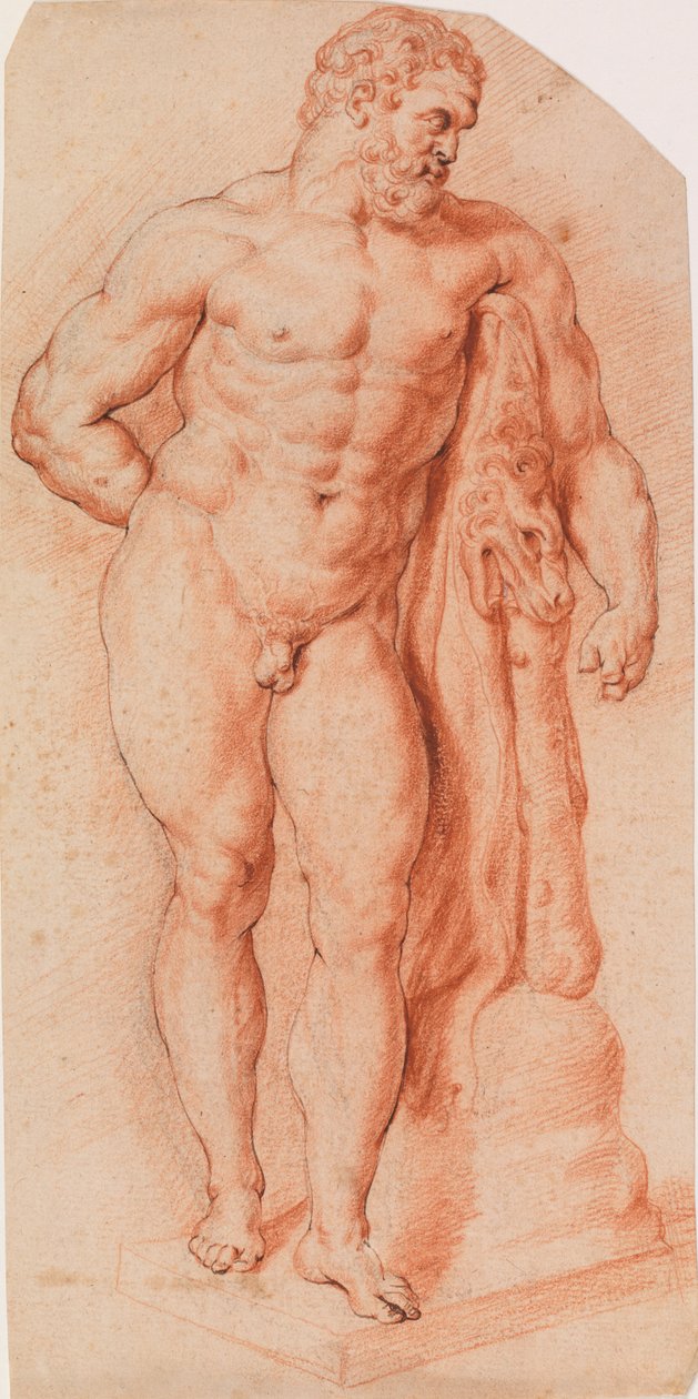 Der Farnesische Herkules, Neapel od Peter Paul Rubens