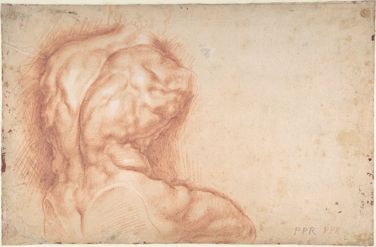 Panna Maria uctívaná světci (recto); Studie torza Belvedere (verso) od Peter Paul Rubens
