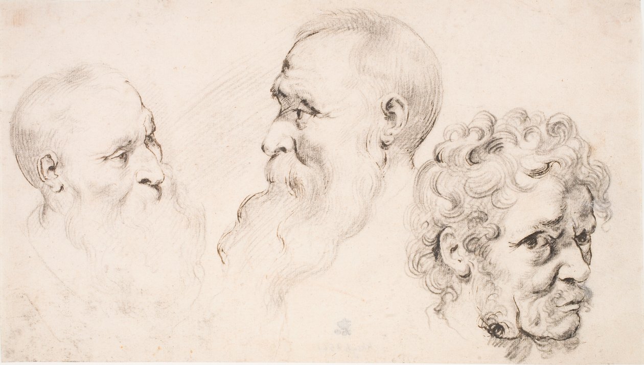 Tři mužské hlavy od Peter Paul Rubens