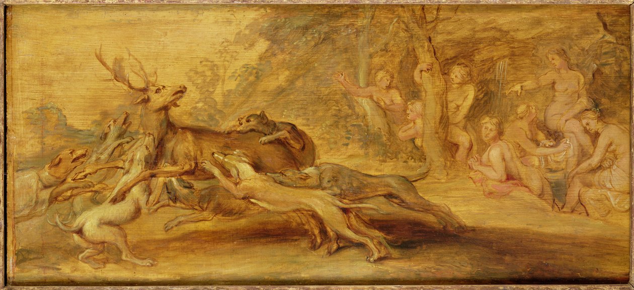 Neznámý obrázek od Peter Paul Rubens