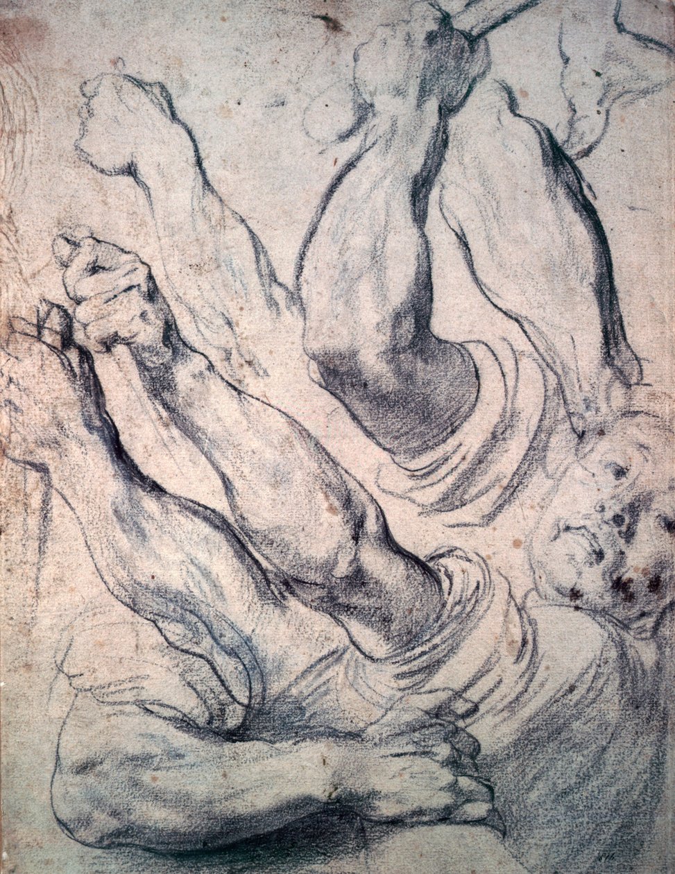 Neznámý obrázek od Peter Paul Rubens