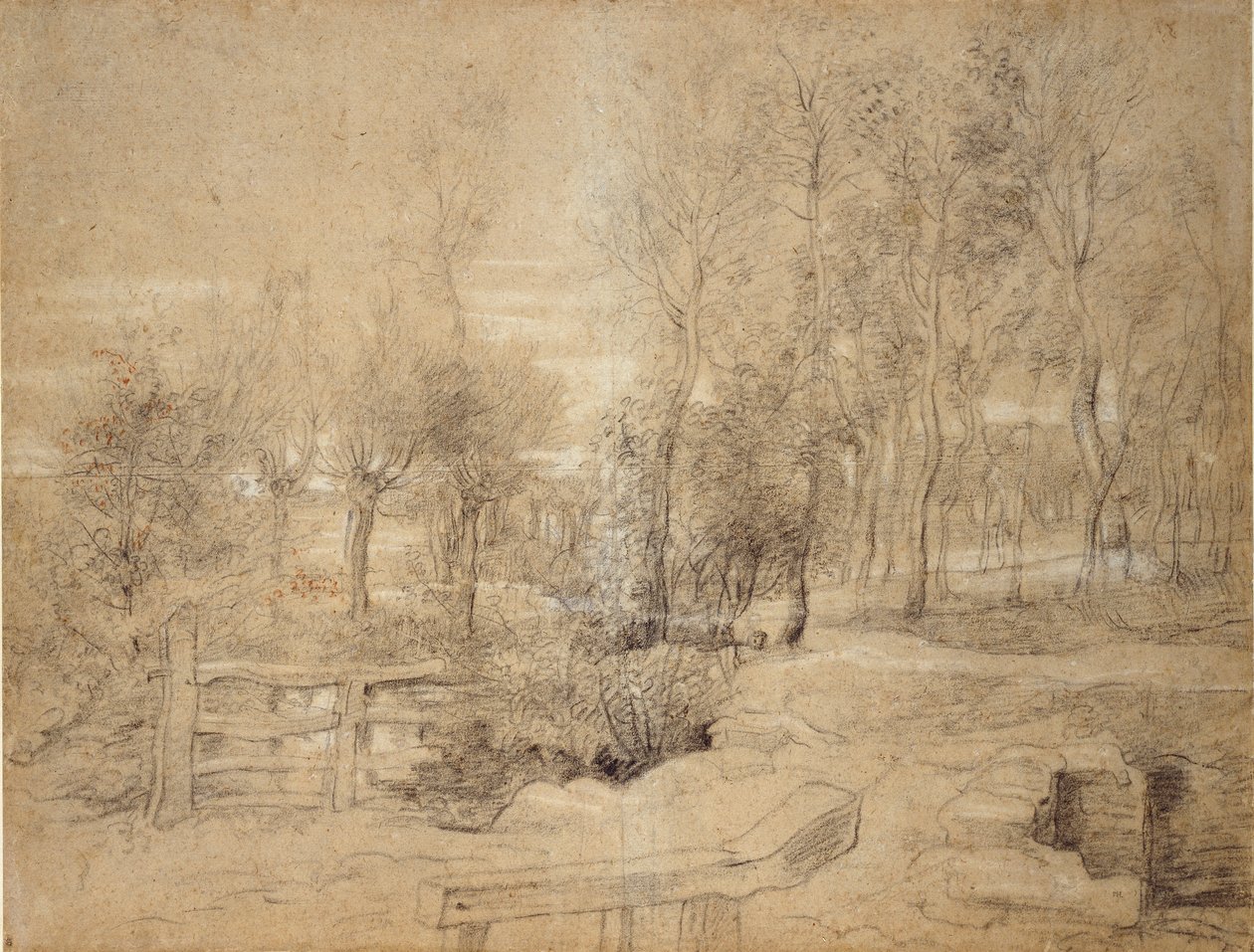 Woodland Scene, začátek 17. století od Peter Paul Rubens