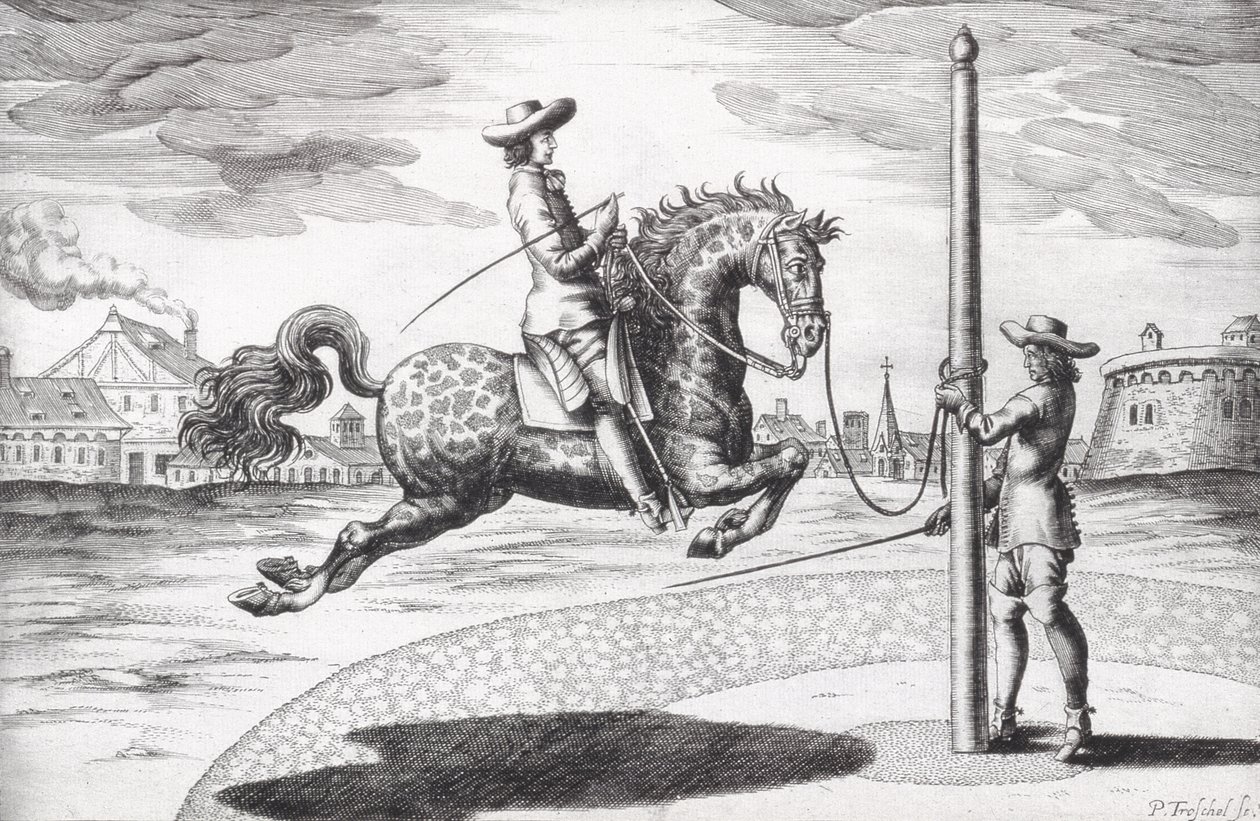 A Horse en Capriole z New Treatise for Breeding Horses napsaný Wintersem, Stutereyem a Reit-Schulem, vyryto umělcem, hospoda. 1672 rytina od Peter Paul Troschel