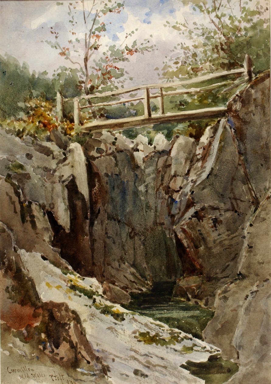 Curmillon, Střední Wales, 1884. od Peter Toft