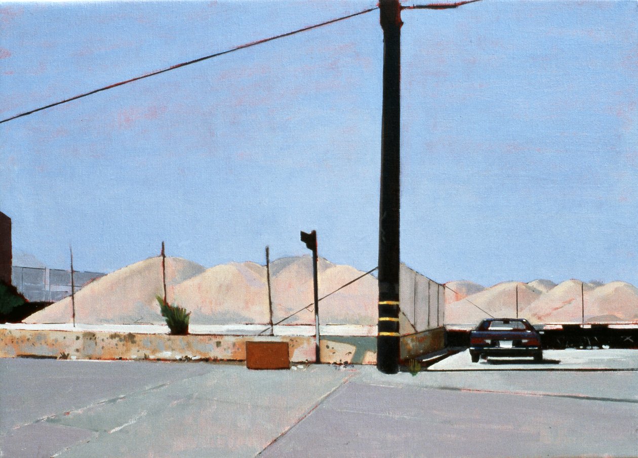 Hromady štěrku v centru Los Angeles, 2007 (olej na plátně) od Peter Wilson