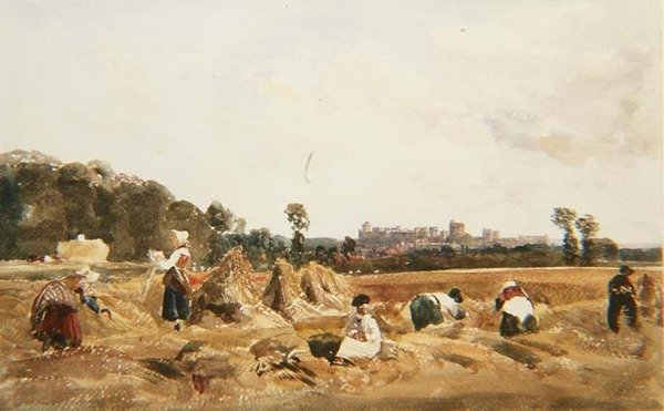 PD.129-1950 Cornfield, Windsor od Peter de Wint
