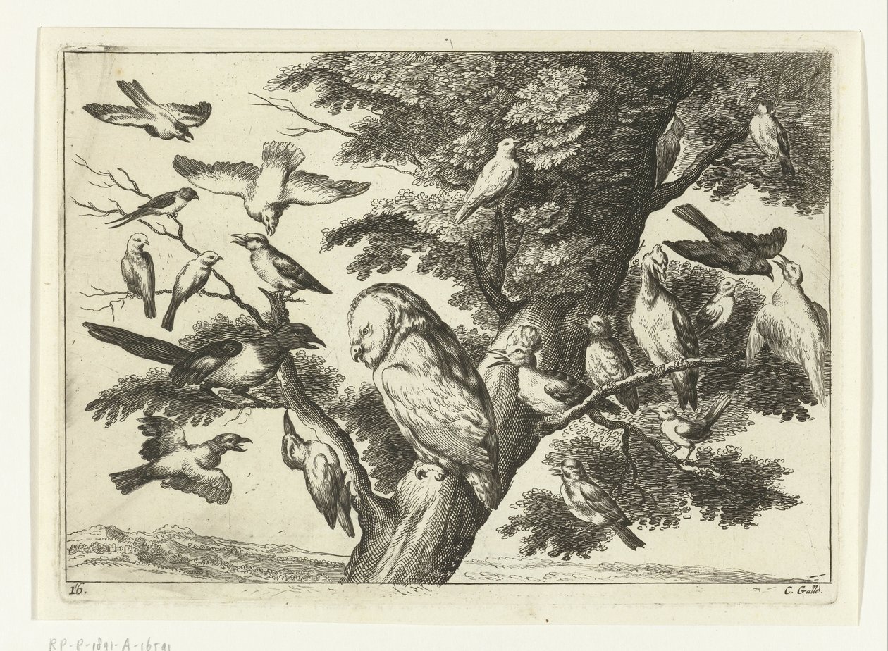 Ptáci na stromě Diversarum avium species (název série) Různí ptáci (název série) od Peter van Liesebetten