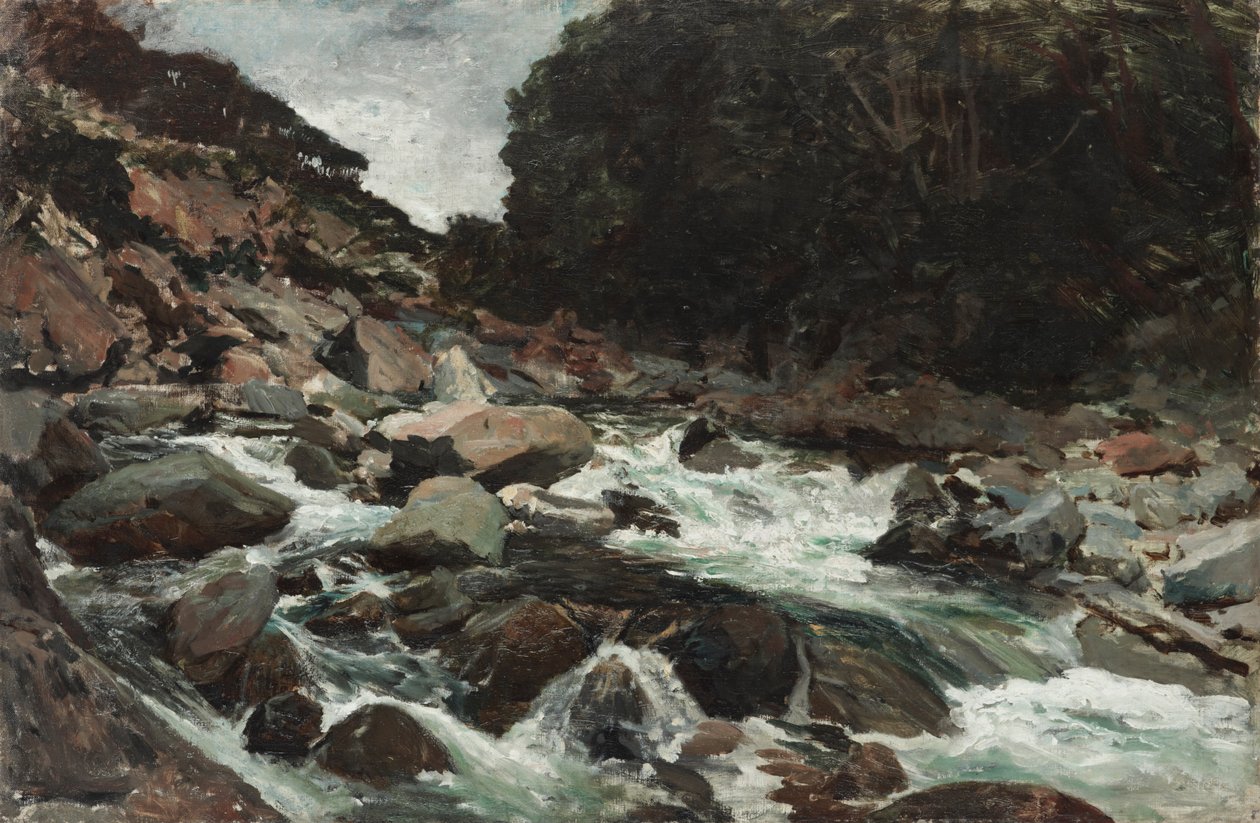 Mountain Stream, Otira Gorge od Petrus van der Velden