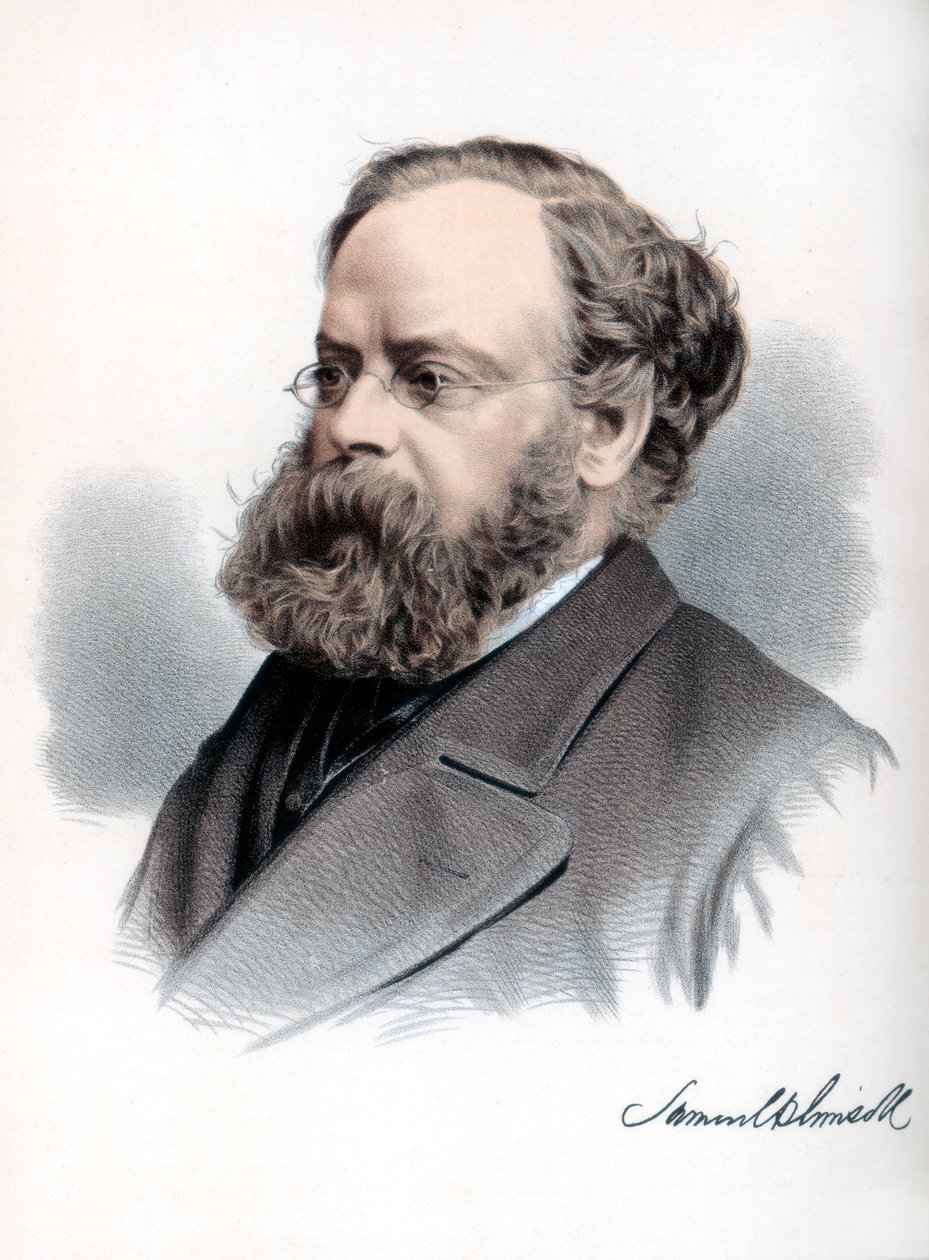 Samuel Plimsoll , britský politik a sociální reformátor, c1890. od Petter and Galpin Cassell