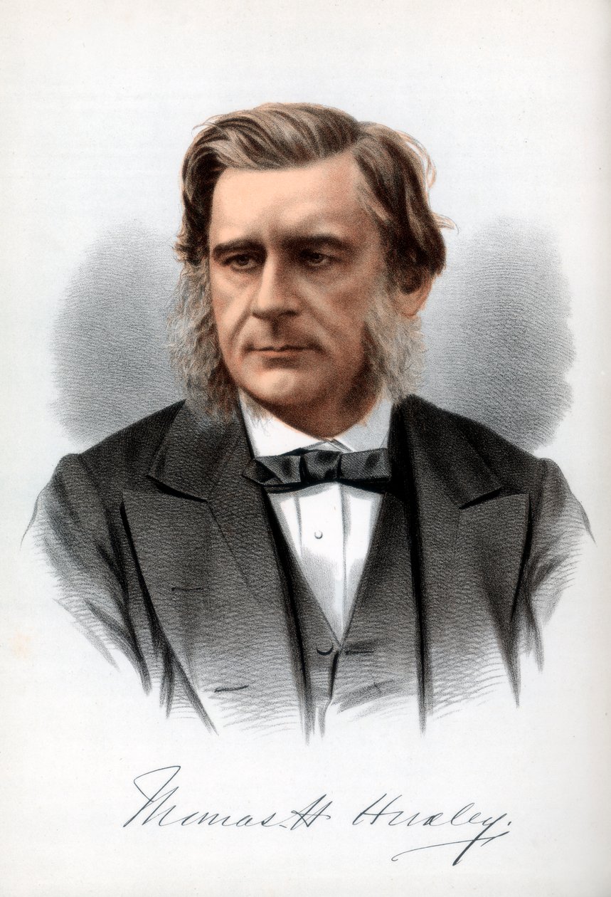 Thomas Henry Huxley, anglický biolog, c1890. od Petter and Galpin Cassell
