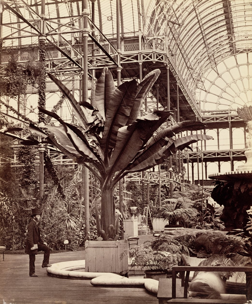 Tropické rostliny v egyptské místnosti, Crystal Palace, Sydenham, 1854 od Philip Henry Delamotte