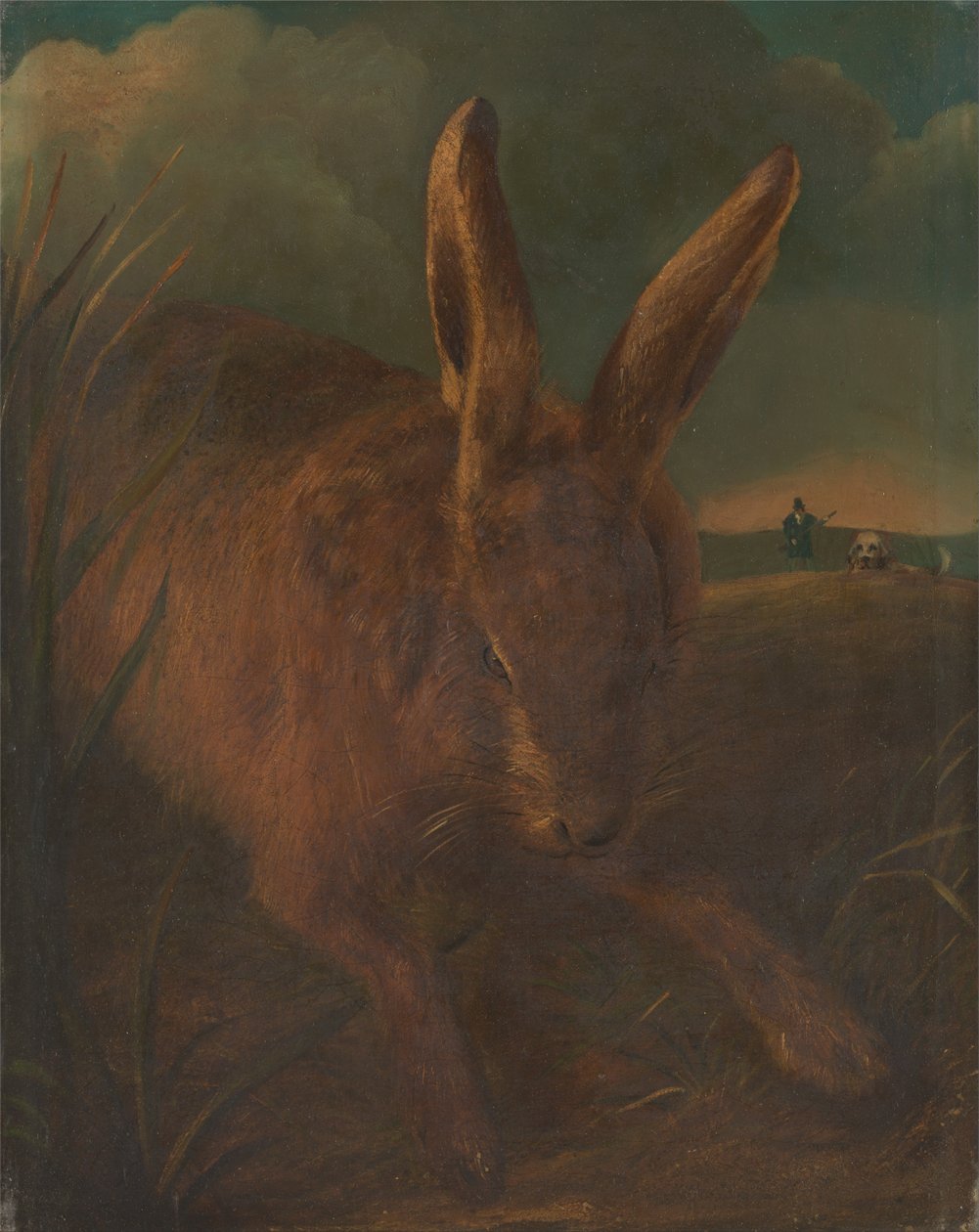 Lov zajíců od Philip Reinagle