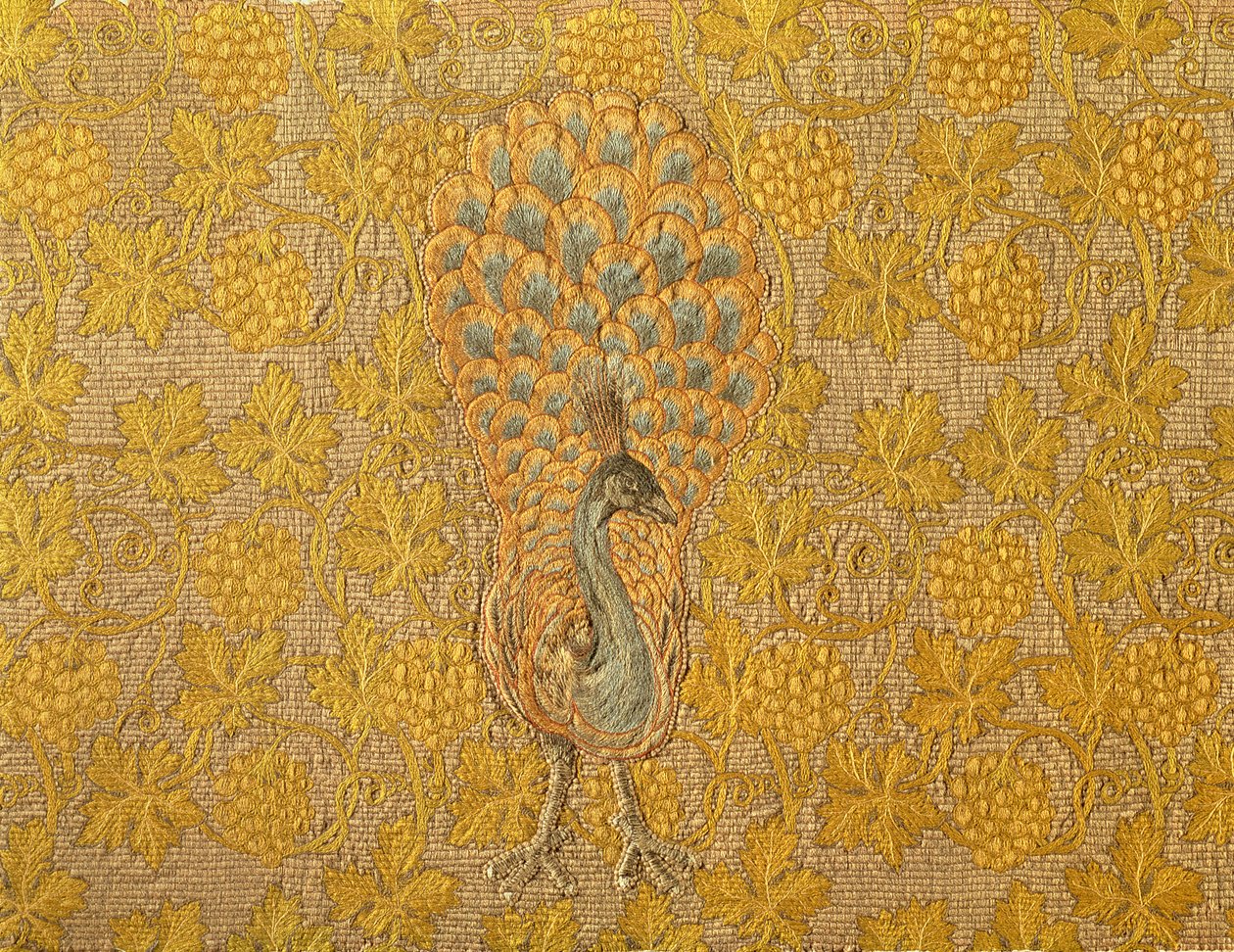 Páv a réva, kolem 1880-1900 (vlna na plátně) od Philip Richard Morris