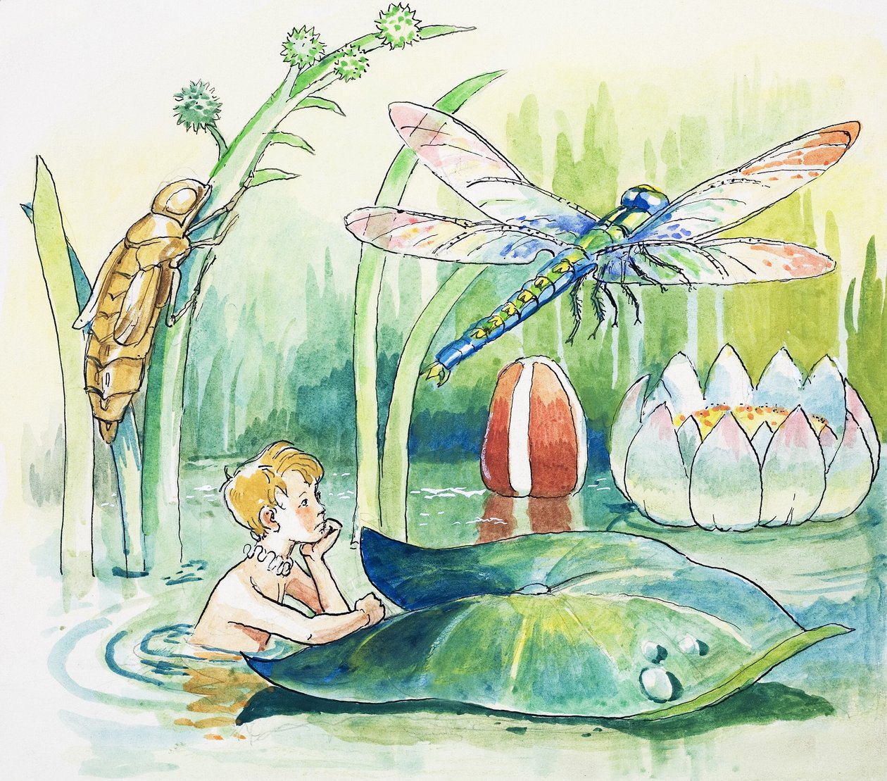 Vážka, ilustrace z knihy "The Water Babies" od Charlese Kingsleyho od Philip Mendoza