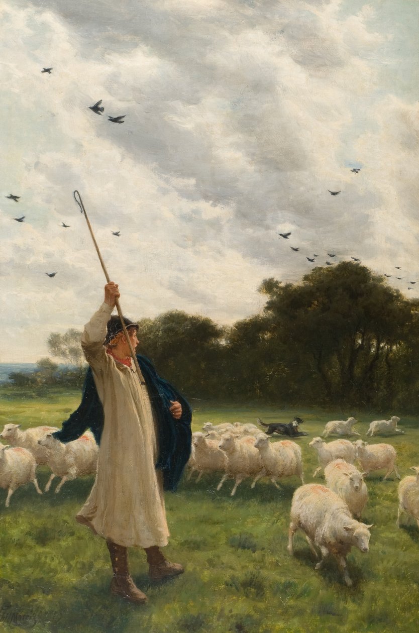 Změna pastviny od Philip Richard Morris