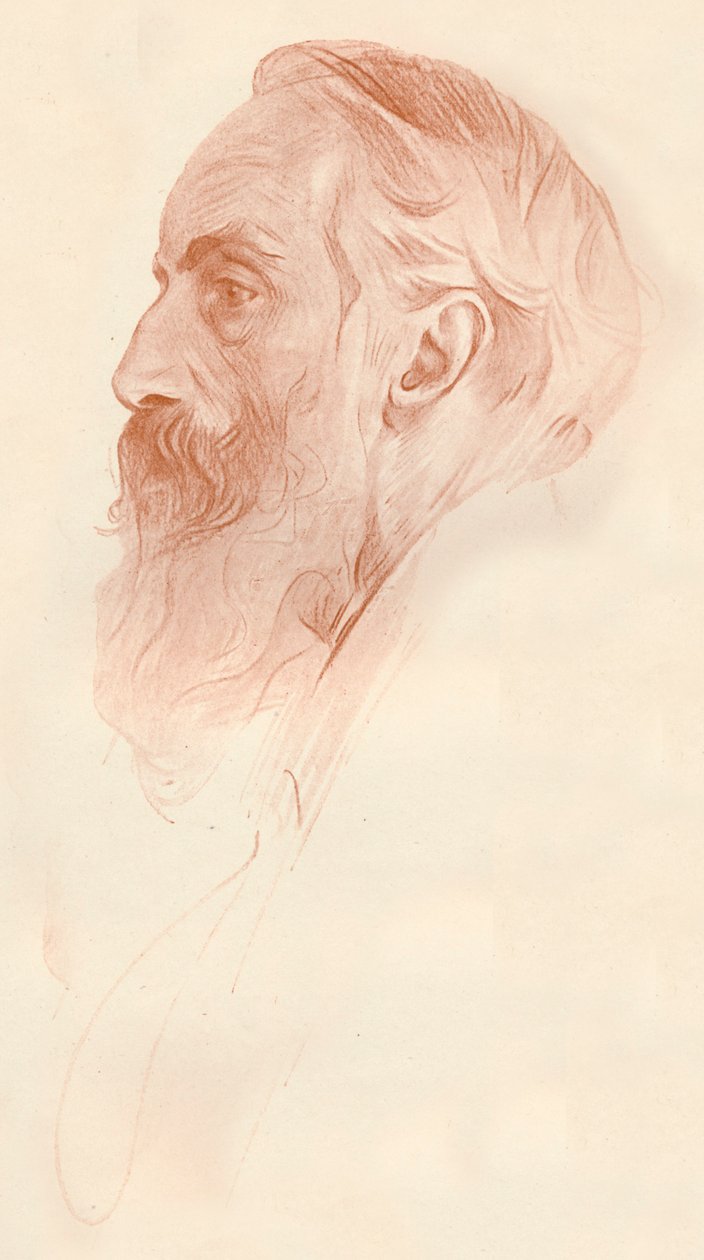 Profilová studie, c1921 od Philip de László