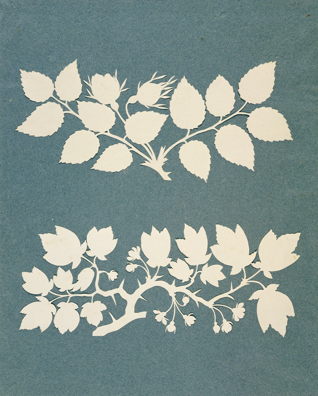 A Rose Branch a Jasmin Branch (koláž na papíře) od Philipp Otto Runge